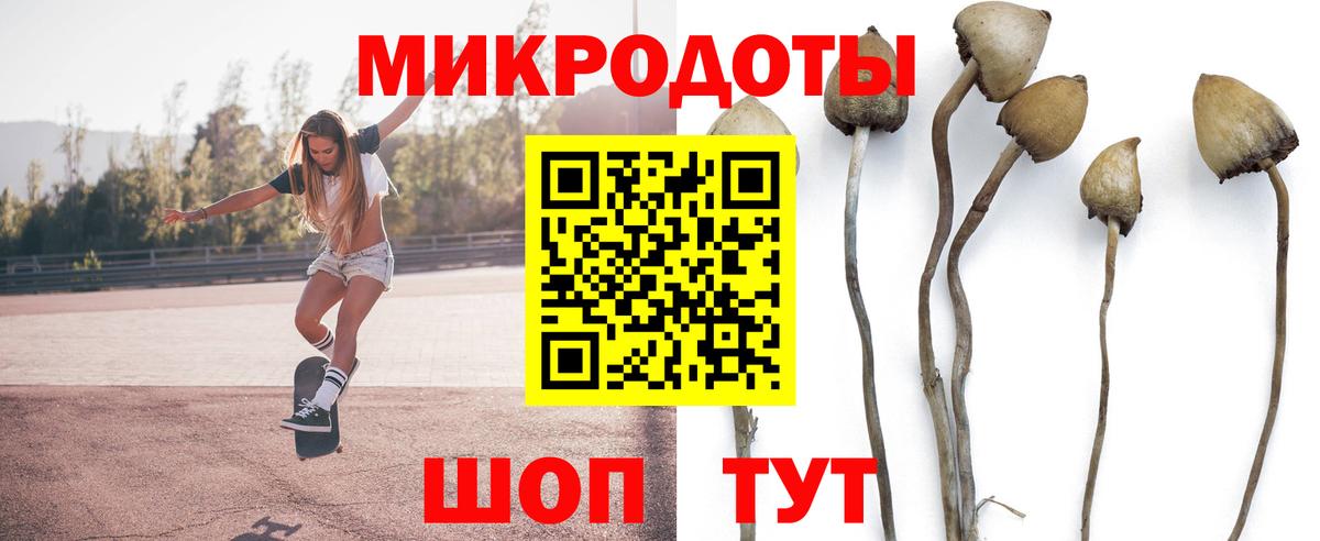 Галлюциногенные грибы MAGIC MUSHROOMS  Вход с VPN  Галлюциногенные грибы прущие грибы  Реутов 